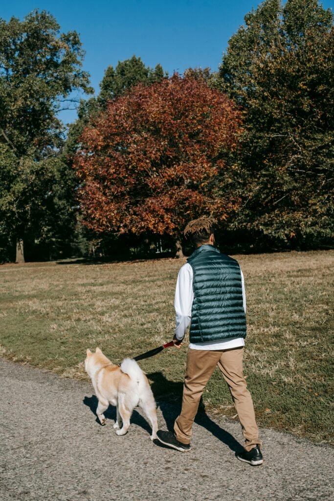 pexels zen chung 5748617 pexels zen chung 5748617