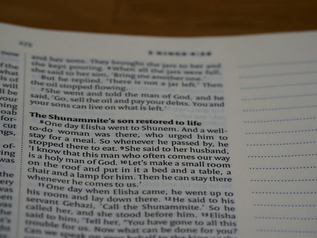 close up, bokeh, macro, blur, blurred background, close focus, bible, old testament, 2 kings, book of kings, kings, ספר מלכים, sêp̄er malḵîm, hebrew bible, destruction of judah, babylon, babylonian exile, Deuteronomistic history, a history of Israel, rabbinic literature, shavuot, christian, judaism, history, text, reading, bible study, devotions, text, NIV, New International Version, type, typography, canon, christianity, holy scripture, holy bible, scripture, tanakh, nevi'im, ketuvim, septuagint,